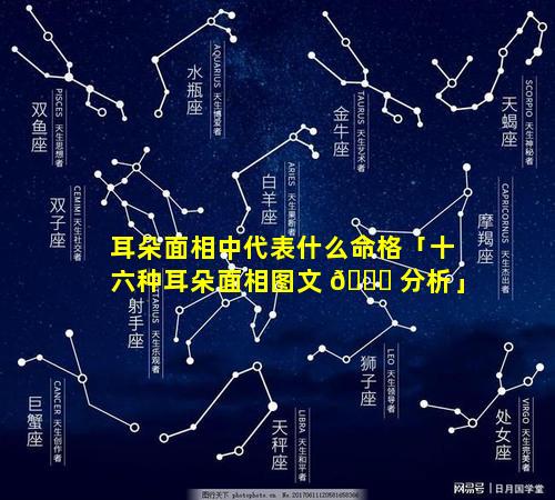 耳朵面相中代表什么命格「十六种耳朵面相图文 🐘 分析」